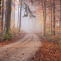 Pastoral- und Verwaltungsteam