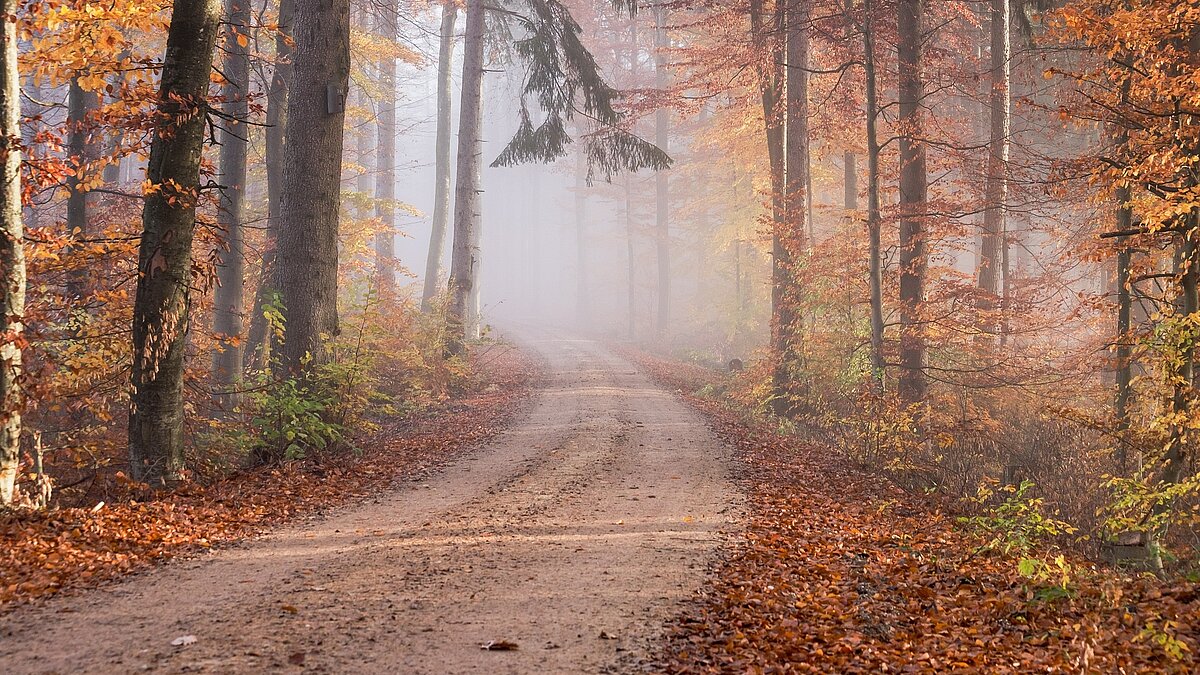 Pastoral- und Verwaltungsteam